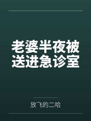 都市鉴宝天王无弹窗免费阅读