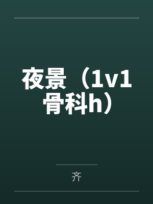 夜景齐小说